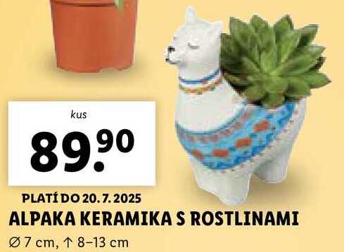 ALPAKA KERAMIKA S ROSTLINAMI 