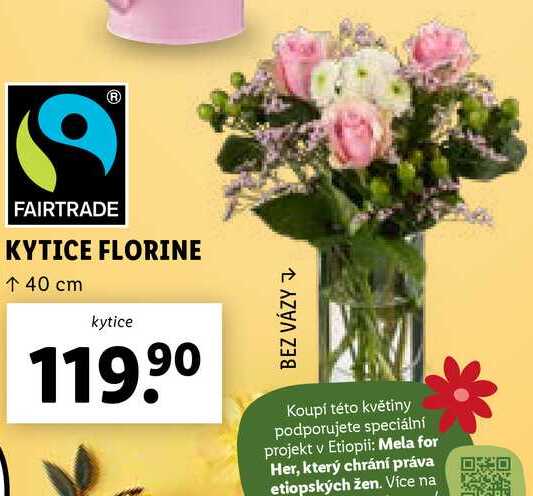 KYTICE FLORINE