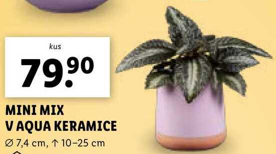 MINI MIX VAQUA KERAMICE 