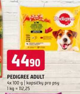 Pedigree adult 4x 100g, vybrané druhy