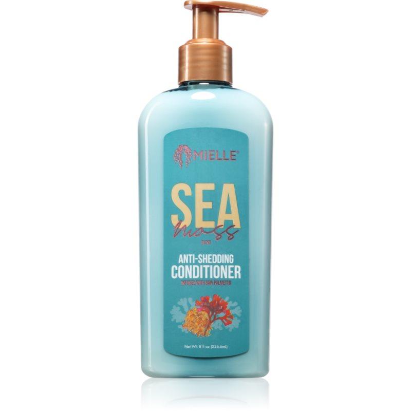 Mielle Sea Moss kondicionér pro slabé vlasy s tendencí vypadávat 235 ml