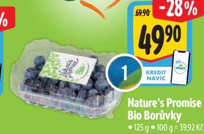 Nature's Promise Bio Borůvky, 125 g 