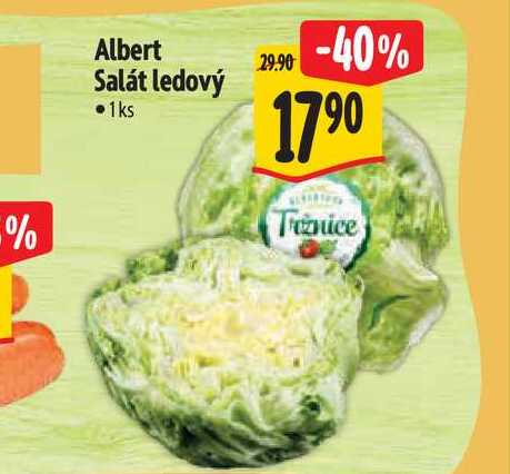Albert Salát ledový 1 ks