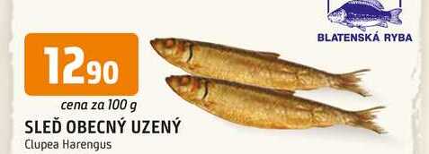 SLEĎ OBECNÝ UZENÝ 100g
