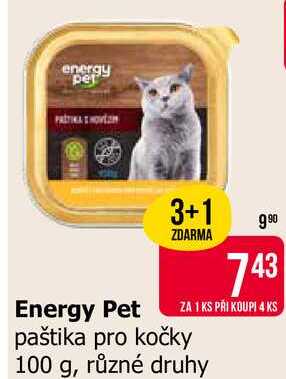 Energy Pet paštika pro kočky 100 g, různé druhy 