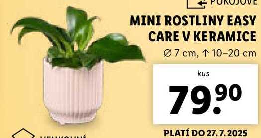 MINI ROSTLINY EASY CARE V KERAMICE 