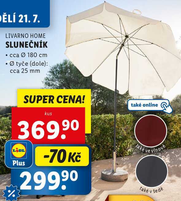 SLUNEČNÍK 