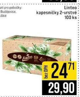 Linteo kapesničky 2-vrstvé 100 ks 