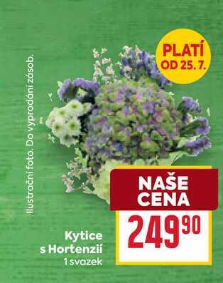 Kytice s Hortenzií 1 svazek 