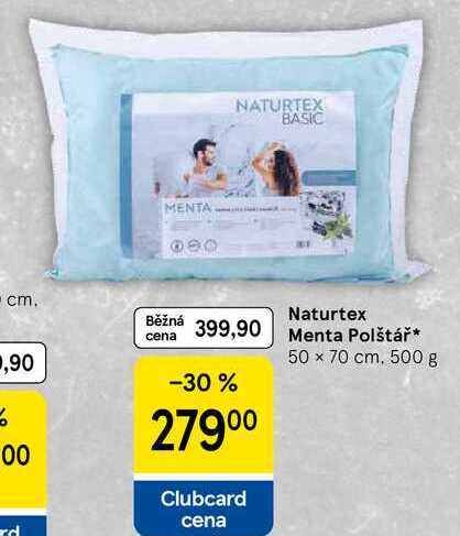 Naturtex Menta Polštář 50 x 70 cm, 500 g  