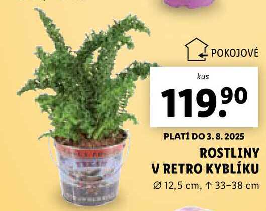 ROSTLINY V RETRO KYBLÍKU 