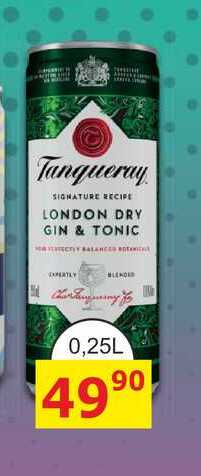 Tanqueray LONDON DRY GIN & TONIC 0,25L míchaný nápoj