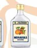R. JELÍNEK Moravská meruňka 0,2l