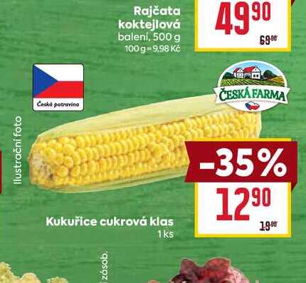 Kukuřice cukrová klas 1ks