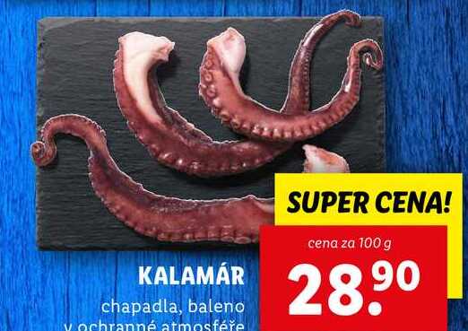 KALAMÁR, cena za 100 g 