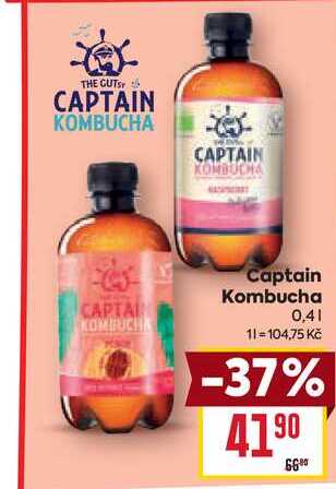 Captain Kombucha 0,4l