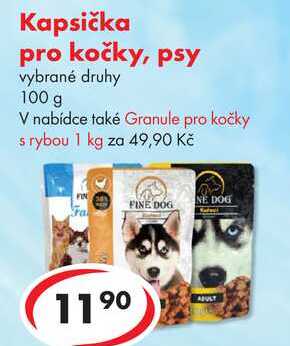 Kapsička pro kočky, psy, 100 g  