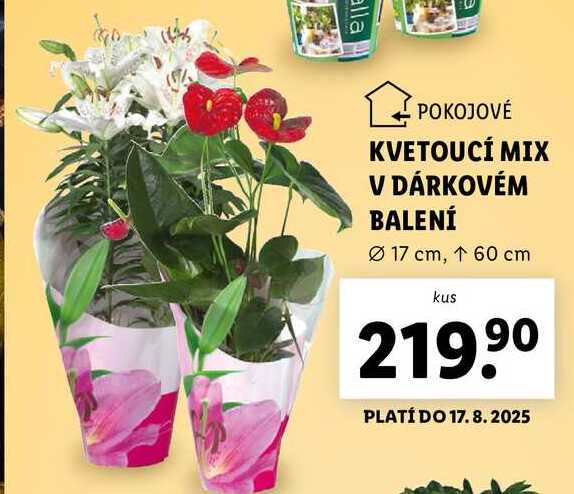 KVETOUCÍ MIX V DÁRKOVÉM BALENÍ