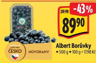 Albert Borůvky, 500 g