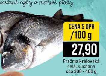 Pražma královská celá, kuchaná cca 300-400 g 