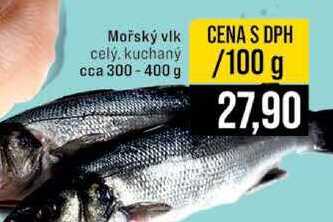 Mořský vlk cely, kuchany cca 300-400 g 100 g