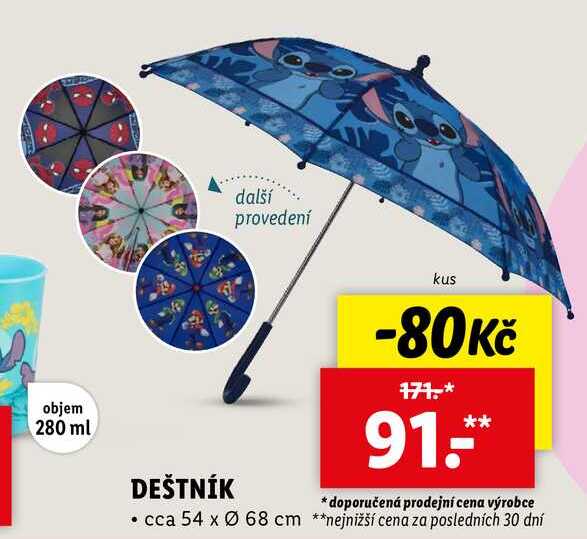 DEŠTNÍK 