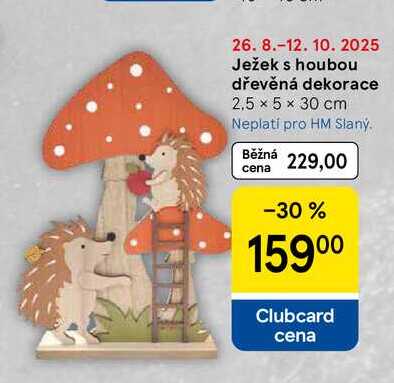 Ježek s houbou dřevěná dekorace, 2,5 × 5 × 30 cm  