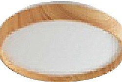 LED stropnice LEANA 2