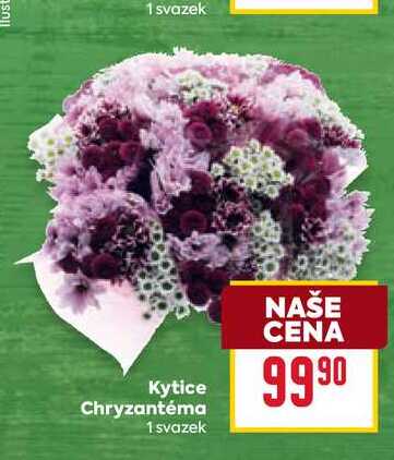 Kytice Chryzantéma 1 svazek 
