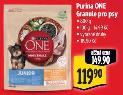 Purina ONE Granule pro psy, 800 g