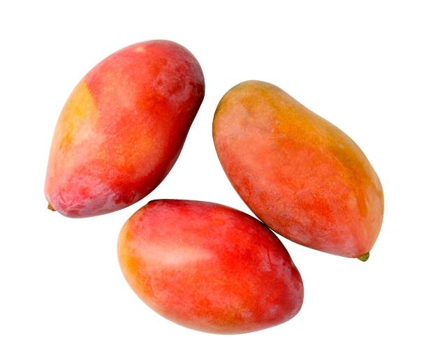 Mango vyzrálé na stromě