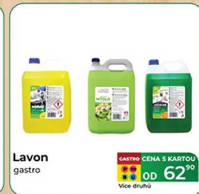 Lavon gastro 