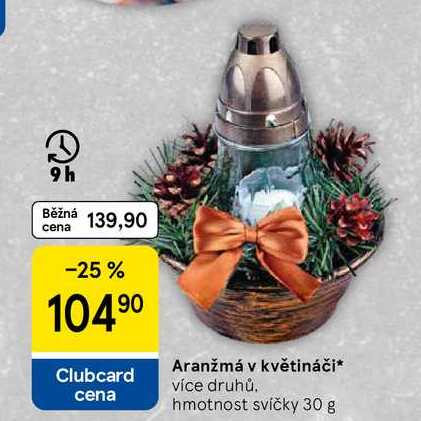 Aranžmá v květináči, více druhů. hmotnost svíčky 30 g 
