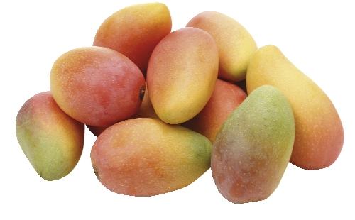 Mango, 2 KS
