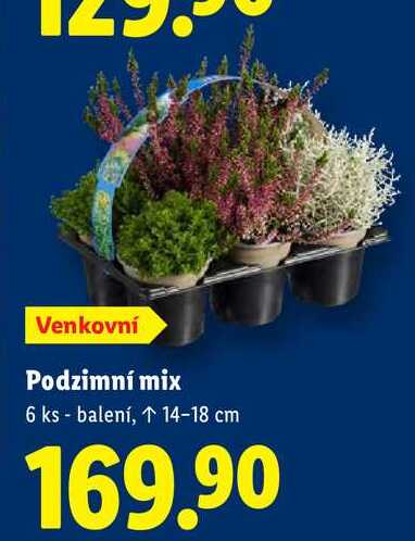 Podzimní mix, 6 ks balení