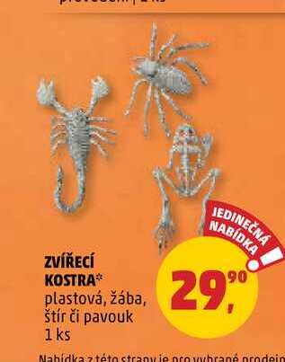 ZVÍŘECÍ KOSTRA, 1 ks
