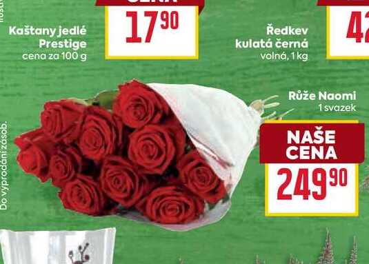 Růže Naomi 1 svazek