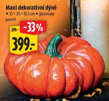 Maxi dekorativní dýně 