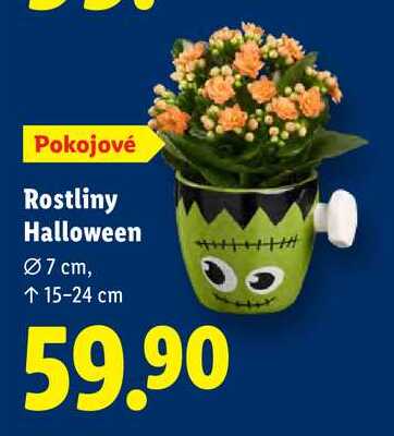 Rostliny Halloween 