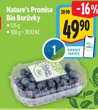 Nature's Promise Bio Borůvky, 125 g 