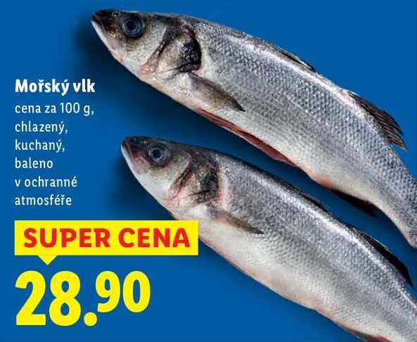 Mořský vlk, cena za 100 g