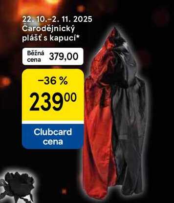 Čarodějnický plášť s kapucí