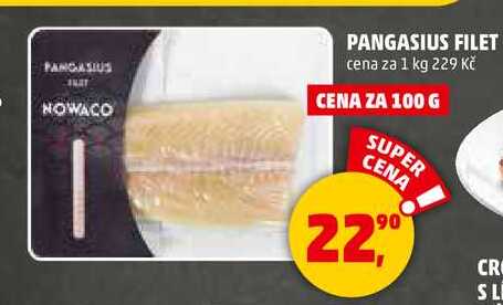 PANGASIUS FILET, 100 g