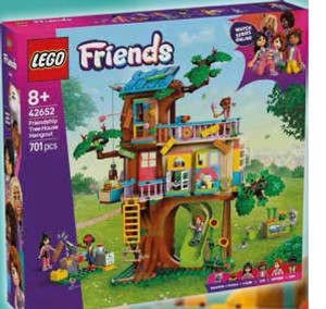LEGO® Friends Dům přátelství
