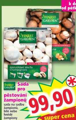 Sada pro pěstování žampionů