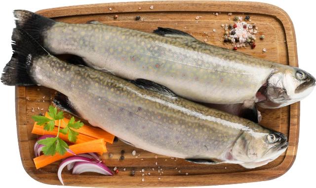 Siven (Salvelinus fontinalis) celý kuchaný