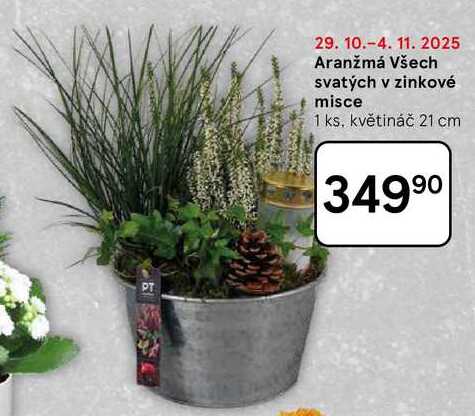 Aranžmá Všech svatých v zinkové misce, 1 ks. květináč 21 cm