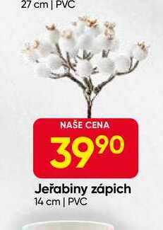 Jeřabiny zápich 14 cm | PVC 