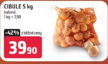 CIBULE 5 kg