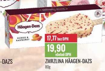 ZMRZLINA HÄAGEN-DAZS 80g 